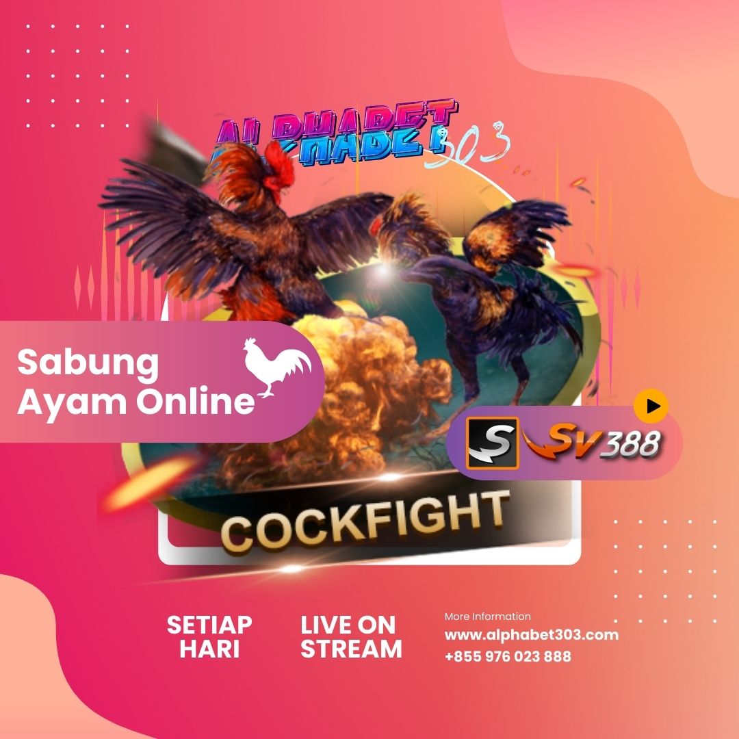 Sabung Ayam SV388 Live Stream
